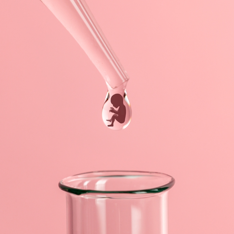 Single Sperm Vitrification