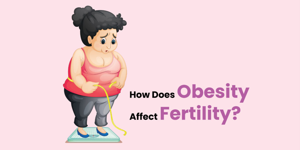 Obesity Affect Fertility